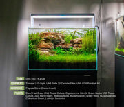 UNS 45U - 9.3 Gallon Ultra Clear Rimless Aquarium Rimless Tanks - Buce Plant