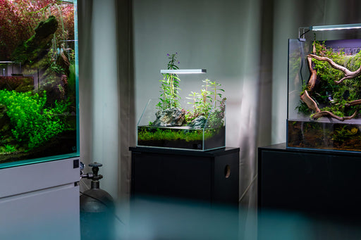 UNS 5E - 2.1 Gallon Ultra Clear Rimless Paludarium