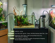 UNS 5N - 4.6 Gallon Ultra Clear Rimless Aquarium Rimless Tanks - Buce Plant
