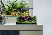 Ultra clear 2.5-gallon rimless aquarium by Ultum Nature Systems, showcasing sleek, modern design with transparent glass walls.