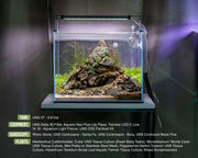 UNS Controsand - Bora Substrate - Buce Plant