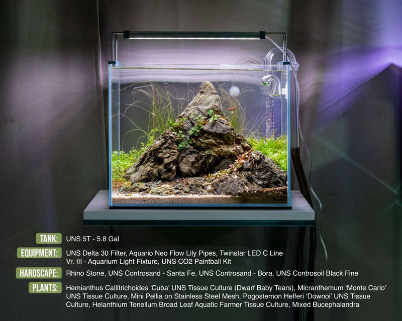 UNS Controsand - Bora Substrate - Buce Plant