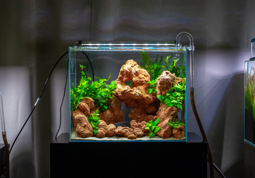 Aqua Worx EOS LED Aquarium Light - White — Buce Plant