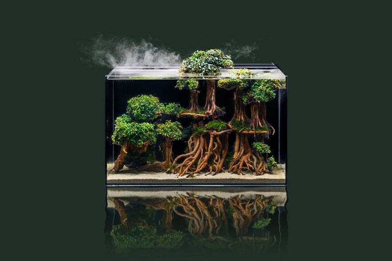 Ultum Nature Systems UNS 60A 20-gallon dual AIO rimless aquarium with sleek, modern design and clear glass panels.