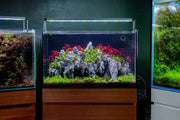Ultum Nature Systems UNS 60A 20-gallon dual AIO rimless aquarium with sleek glass design and minimal frame for modern freshwater setup.