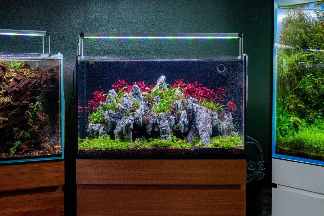 UNS 60A - 20 Gallon Dual AIO Rimless Aquarium