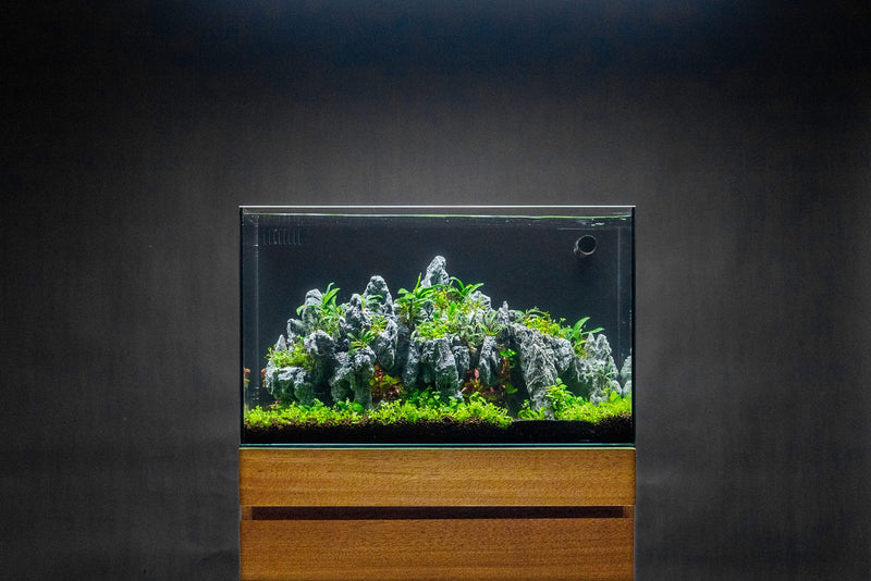 Ultum Nature Systems UNS 60A 20-Gallon Dual AIO Rimless Aquarium with sleek, clear glass design for modern freshwater or saltwater setups.