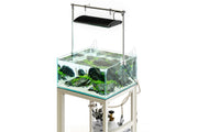Ultra clear rimless aquarium by Ultum Nature Systems, UNS 60CS 28.5-gallon tank with sleek, modern design for freshwater or marine setups.