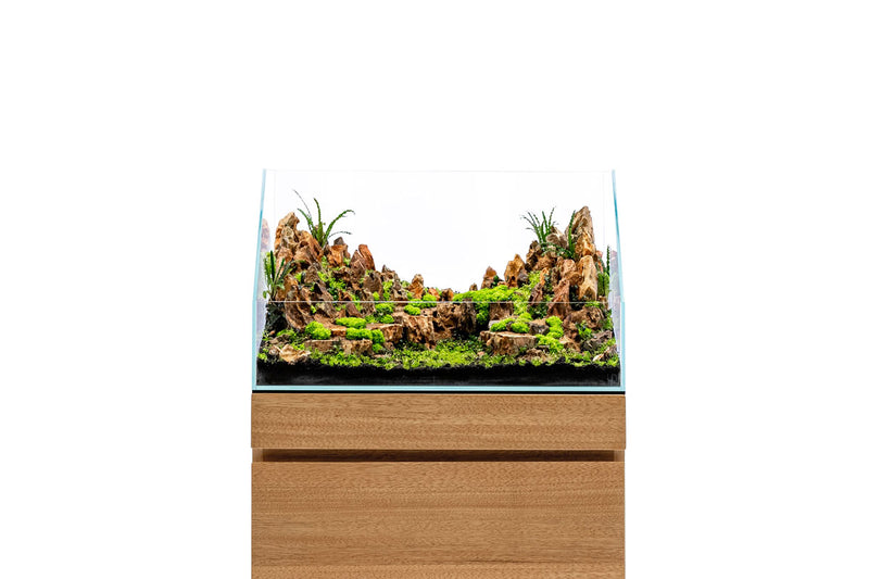 Ultra clear rimless UNS 60E paludarium by Ultum Nature Systems, 6.8-gallon tank with sleek, modern design for aquatic and terrestrial habitat.