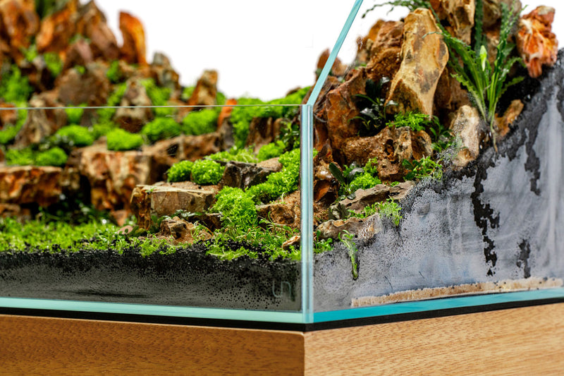 UNS Leveling Mat Accessories - Buce Plant
