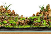 Clear glass UNS 60E 6.8-gallon ultra clear rimless paludarium by Ultum Nature Systems, showing the sleek, rimless tank design.