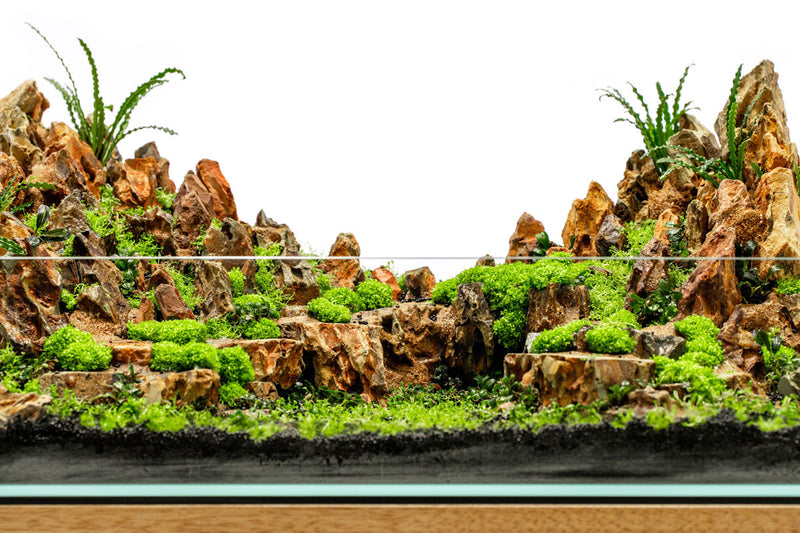 Clear glass UNS 60E 6.8-gallon ultra clear rimless paludarium by Ultum Nature Systems, showing the sleek, rimless tank design.