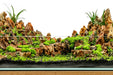 UNS 60E - 6.8 Gallon Ultra Clear Rimless Paludarium