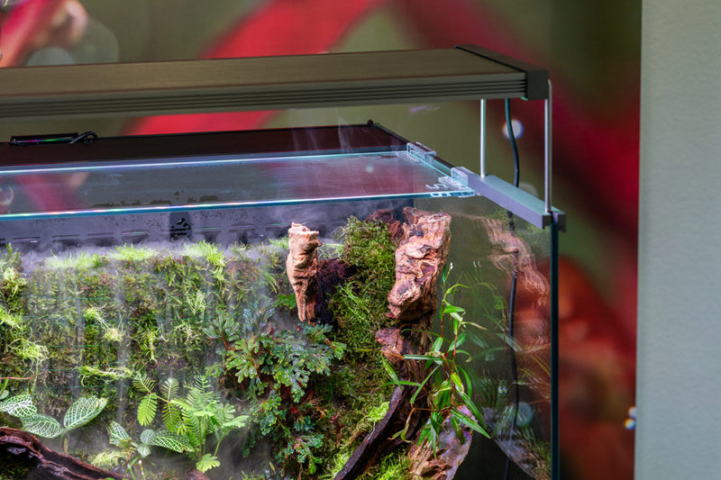 Rimless UNS 60E Foresta Integrated Paludarium V2 by Ultum Nature Systems showing lush plant landscape and glass tank design