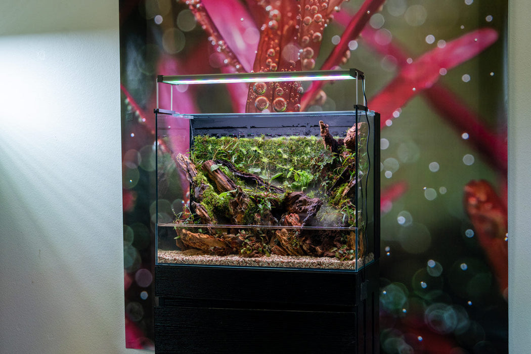 UNS 60E - Foresta Integrated Paludarium