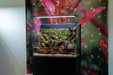 UNS 60E - Foresta Integrated Paludarium