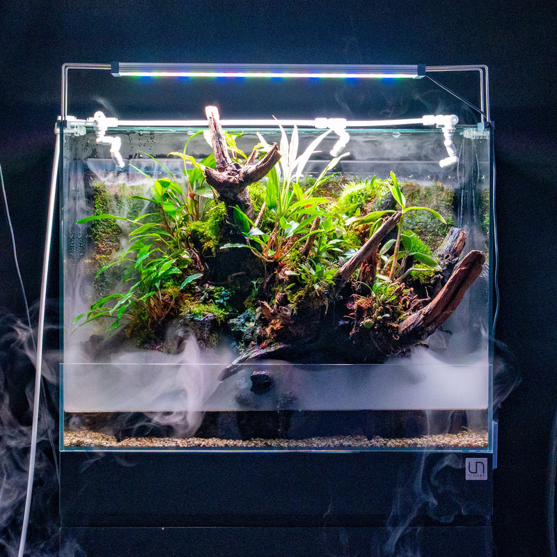 UNS 90E - Foresta Integrated Paludarium Rimless Tanks - Buce Plant