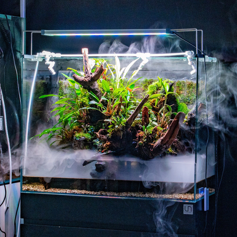 UNS 90E - Foresta Integrated Paludarium Rimless Tanks - Buce Plant