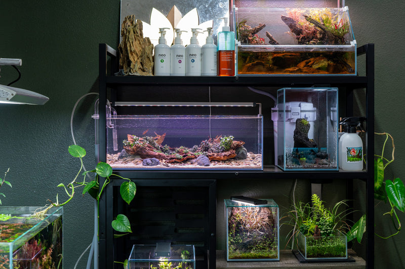 Ultum Nature Systems UNS 60L 6.3-gallon ultra clear rimless aquarium with sleek, modern design and transparent glass walls.