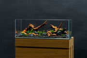 Clear glass UNS 60L Ultral Clear Rimless Aquarium by Ultum Nature Systems showing a sleek, rimless design with water and plants inside.