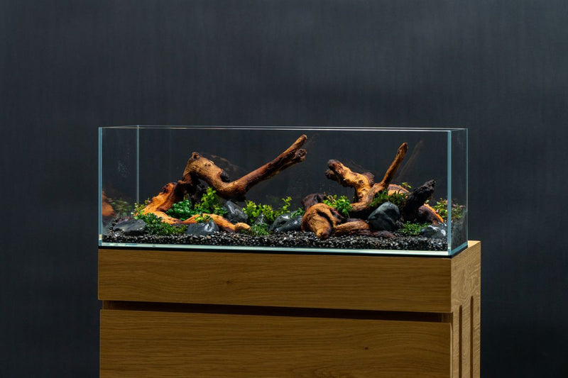 Clear glass UNS 60L Ultral Clear Rimless Aquarium by Ultum Nature Systems showing a sleek, rimless design with water and plants inside.