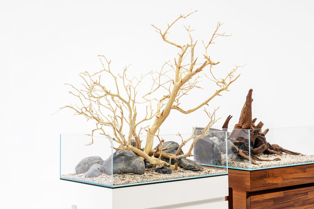 UNS 60S - 10.2 Gallon Ultra Clear Rimless Aquarium