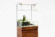 UNS 60S - 10.2 Gallon Ultra Clear Rimless Aquarium Rimless Tanks - Buce Plant