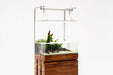 UNS 60S - 10.2 Gallon Ultra Clear Rimless Aquarium