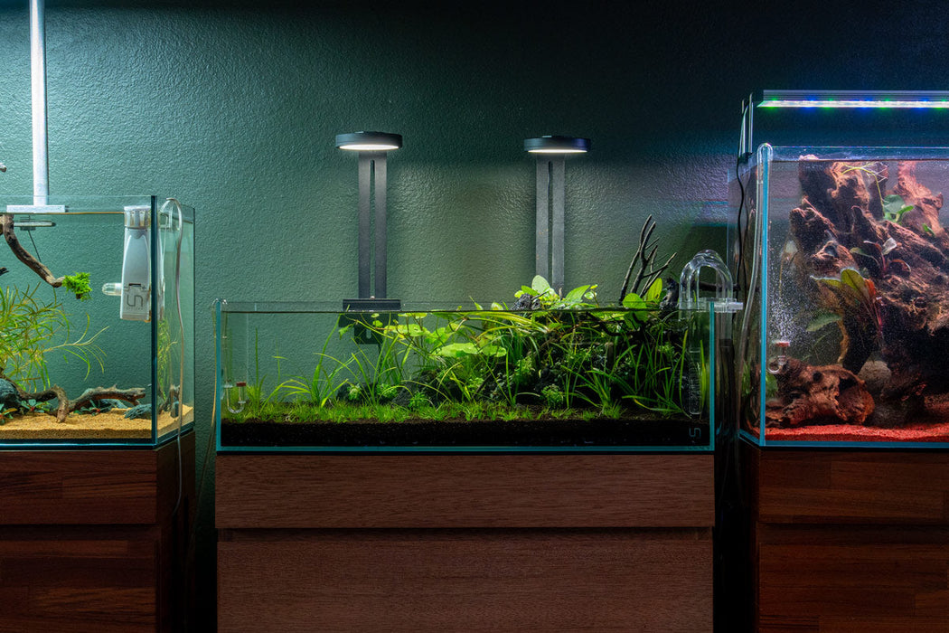 UNS 60S - 10.2 Gallon Ultra Clear Rimless Aquarium