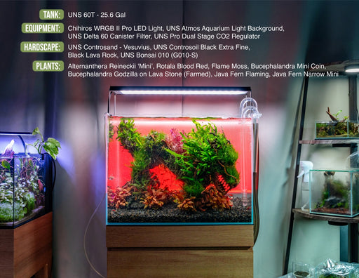 UNS 60T - 24.3 Gallon Ultra Clear Rimless Aquarium