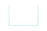 UNS 60T - 25.6 Gallon Ultra Clear Rimless Aquarium Rimless Tanks - Buce Plant