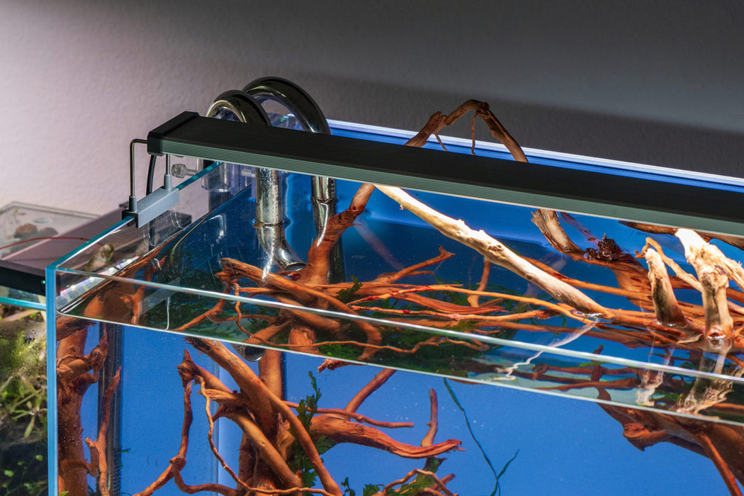 UNS 60U - 20.5 Gallon Limited Edition Blue Rimless Aquarium