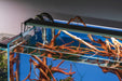 UNS 60U - 20.5 Gallon Limited Edition Blue Rimless Aquarium