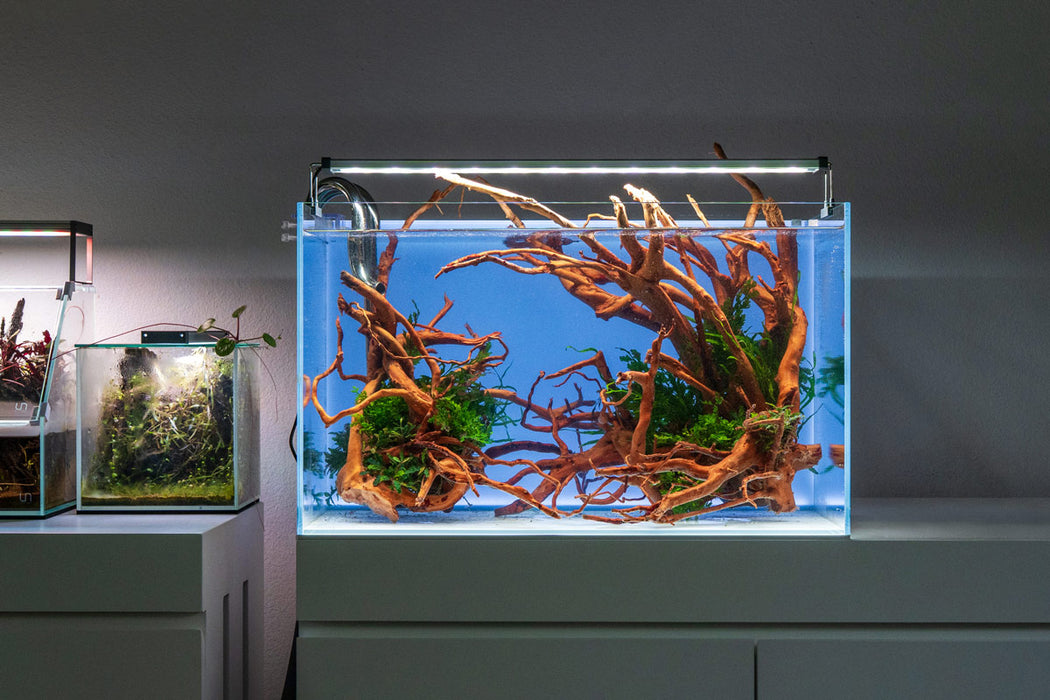 UNS 60U - 20.5 Gallon Limited Edition Blue Rimless Aquarium