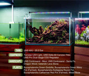 UNS Controsand - Maui Substrate - Buce Plant