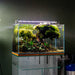UNS 60U - 20 Gallon Ultra Clear Rimless Aquarium