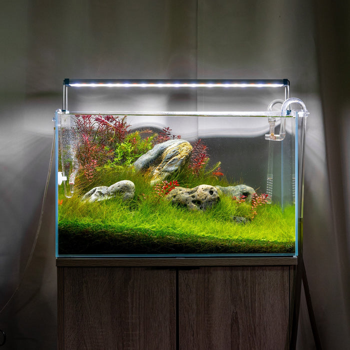 WARRANTY INCLUDED! 45 gallon GLASS rectangle table aquarium fish tank full  setup