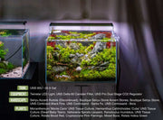 UNS Ultra Clear Tanks [STANDARD] Rimless Tanks - Buce Plant