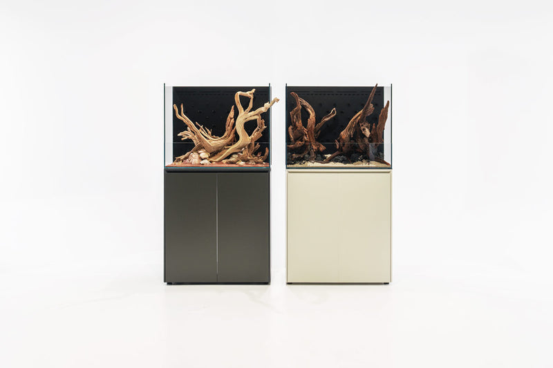 UNS 75E - Foresta Integrated Paludarium Rimless Tanks - Buce Plant