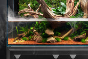 UNS 75E - Foresta Integrated Paludarium Rimless Tanks - Buce Plant