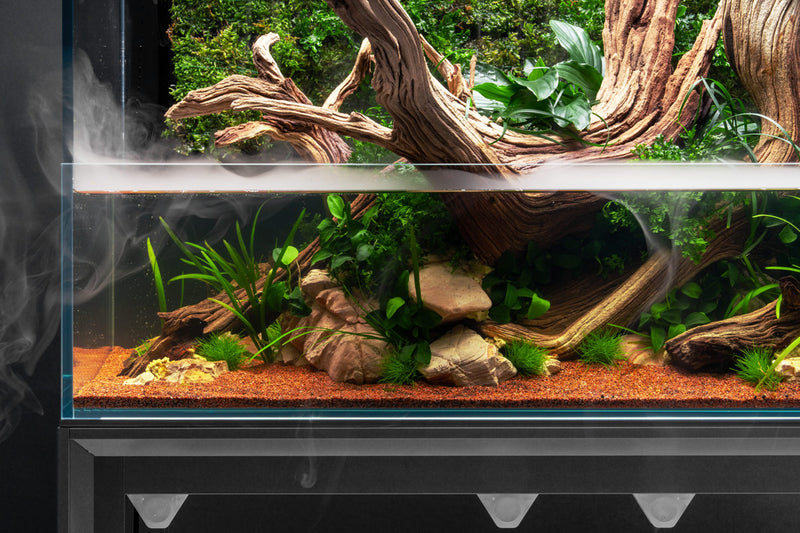 UNS 75E - Foresta Integrated Paludarium Rimless Tanks - Buce Plant