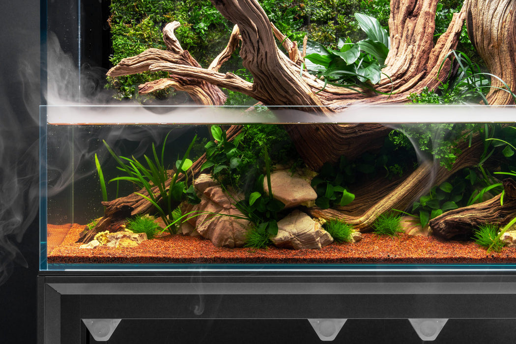 bonsai tree paludarium UNS 75E Foresta Integrated Paludarium Tank