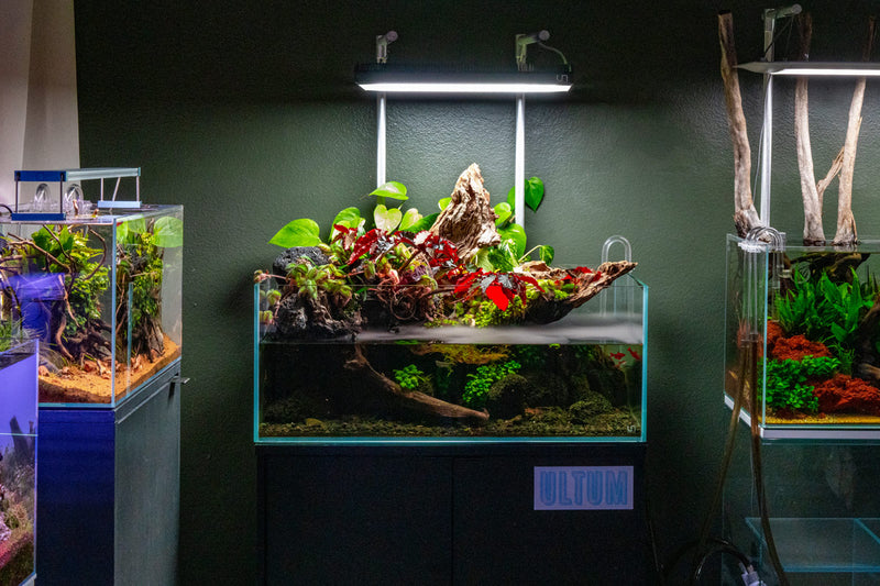 Ultra Clear UNS 75S Rimless Aquarium by Ultum Nature Systems, 26.7-gallon tank with sleek, modern rimless design.