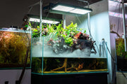 Ultra clear rimless 26.7-gallon aquarium from Ultum Nature Systems UNS 75S, showcasing sleek design and transparent glass.