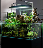 Clear rimless 26.7-gallon aquarium by Ultum Nature Systems, showcasing the ultra-clear glass and modern design.