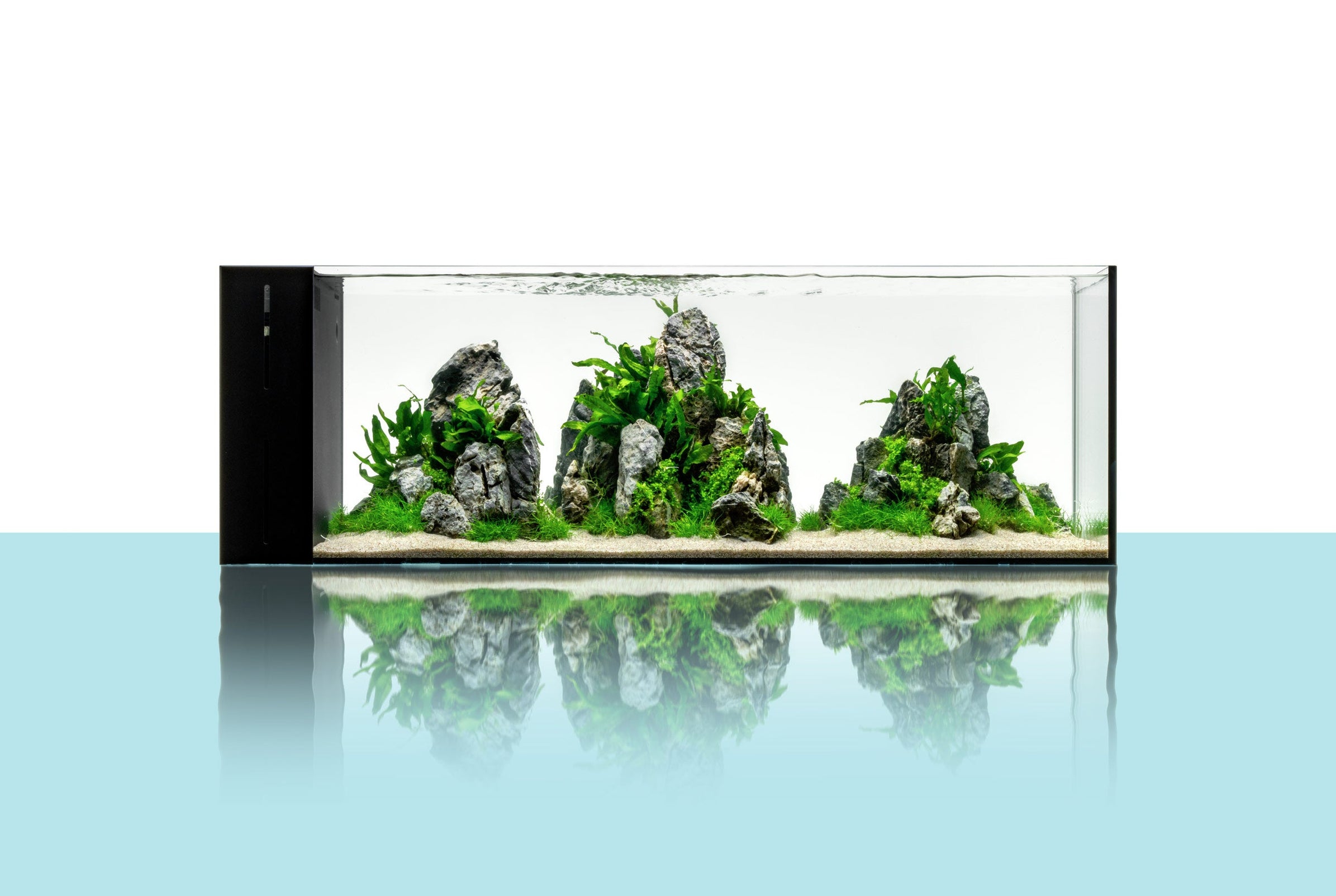 UNS 90LA - 21 Gallon Dual AIO Rimless Aquarium — Buce Plant