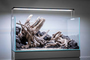 Ultra clear 48.1-gallon rimless aquarium by Ultum Nature Systems, showcasing sleek, modern design with transparent glass edges.