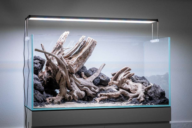 Ultra clear 48.1-gallon rimless aquarium by Ultum Nature Systems, showcasing sleek, modern design with transparent glass edges.