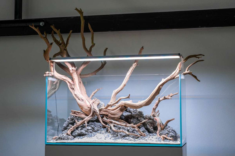 Ultra clear rimless 48.1-gallon aquarium by Ultum Nature Systems, showcasing sleek, modern glass tank with seamless design.