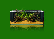 Ultum Nature Systems UNS 90SA 47.9-gallon dual all-in-one rimless aquarium showing clear glass and sleek design